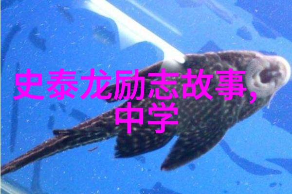 过去的时光都没有浪费